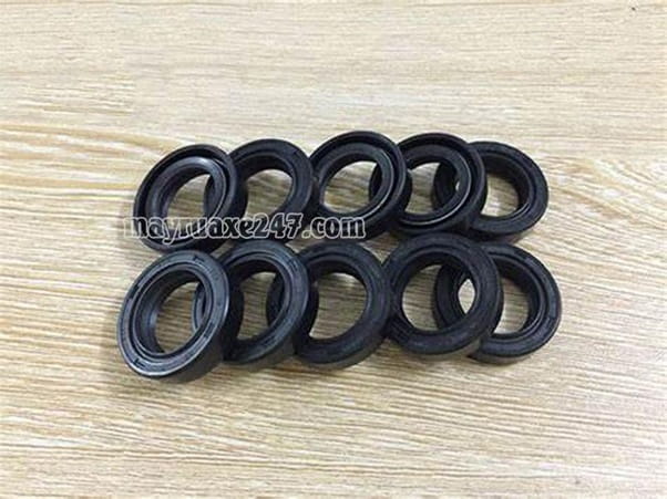 Bảng giá phớt máy rửa xe phụ thuộc vào từng loại Bảng giá phớt máy rửa xe phụ thuộc vào từng loại