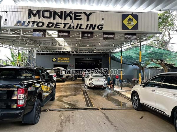 Monkey Detailing