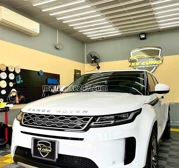 Xe cưng DETAILING